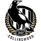 Collingwood Magpies