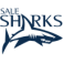 Sale Sharks
