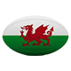 Wales Rugby Jerseys & Team Shirts | MostJersey