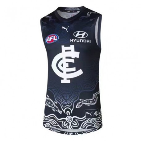 Carlton Blues 2024 Indigenous Guernsey
