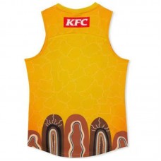 Hawthorn Hawks 2024 Indigenous Guernsey