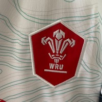 Wales 2025/26 Away Jersey