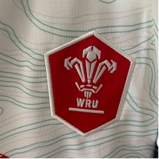 Wales 2025/26 Away Jersey