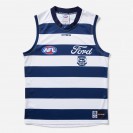 Geelong Cats 2025 Home Guernsey
