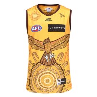 Hawthorn Hawks Jersey 2023