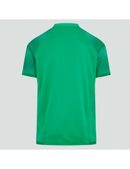 Ireland 2022-23 Home Jersey