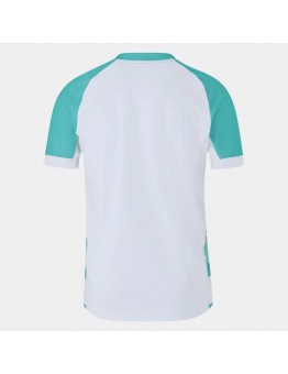 Springboks Mens Rugby Jersey Away Rugby World Cup 2023