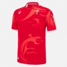 Welsh Mens Home Jersey 2022-23