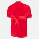 Welsh Mens Home Jersey 2022-23
