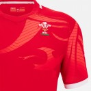 Welsh Mens Home Jersey 2022-23